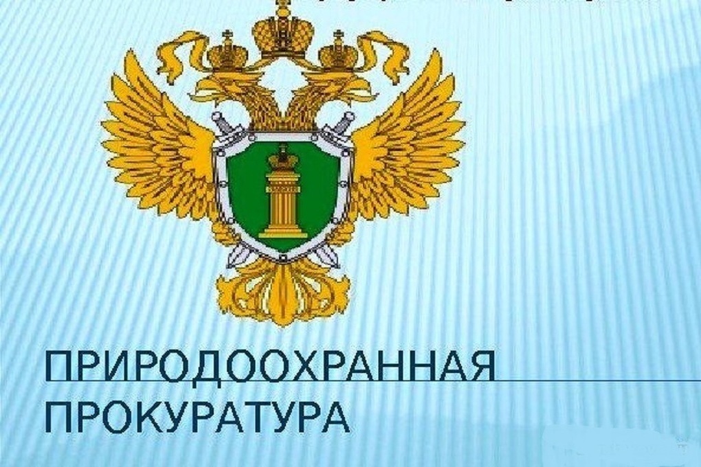 прокуратура информирует.