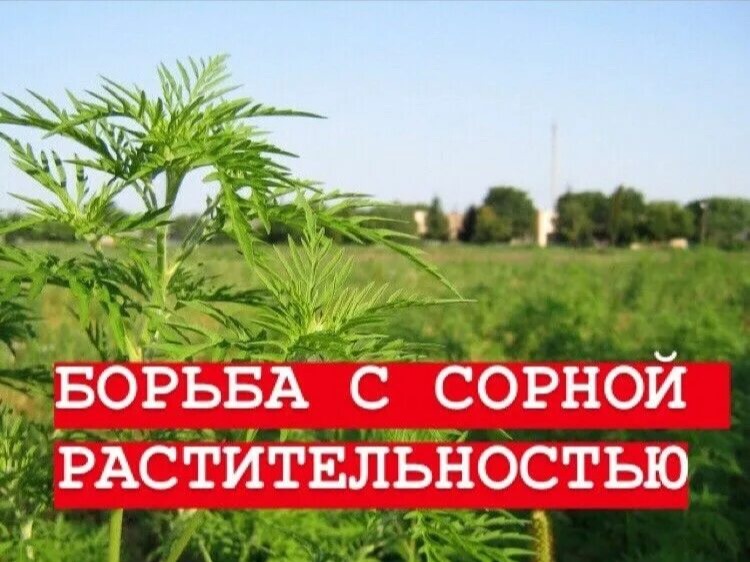 ОБЪЯВЛЕНИЕ.