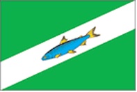 флаг МО &amp;quot;Тагайское сельское поселение&amp;quot;.