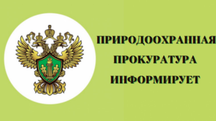 прокуратура информирует. прокуратура информирует.