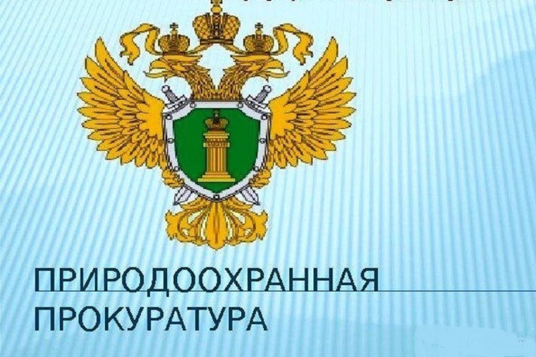 прокуратура информирует. прокуратура информирует.